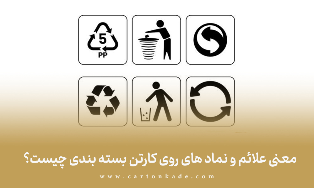 راهنمای خرید کارتن