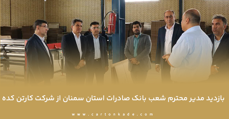 بازدید کارتن کده