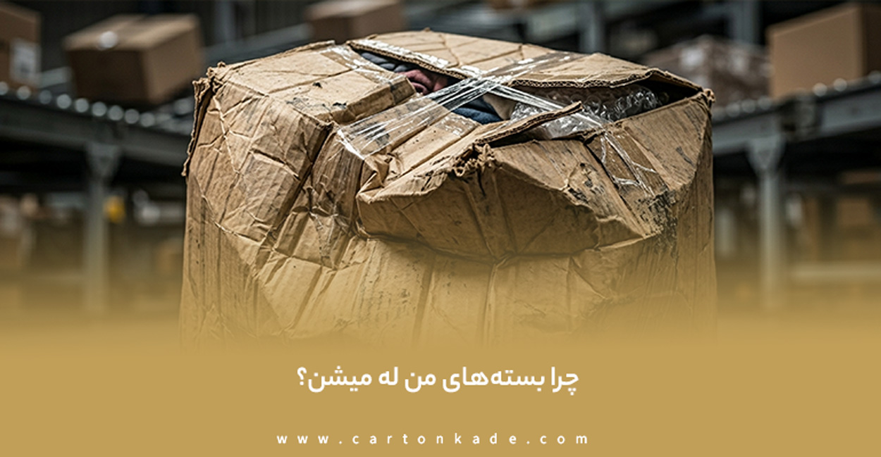 راهنمای خرید کارتن
